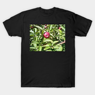 Apple T-Shirt